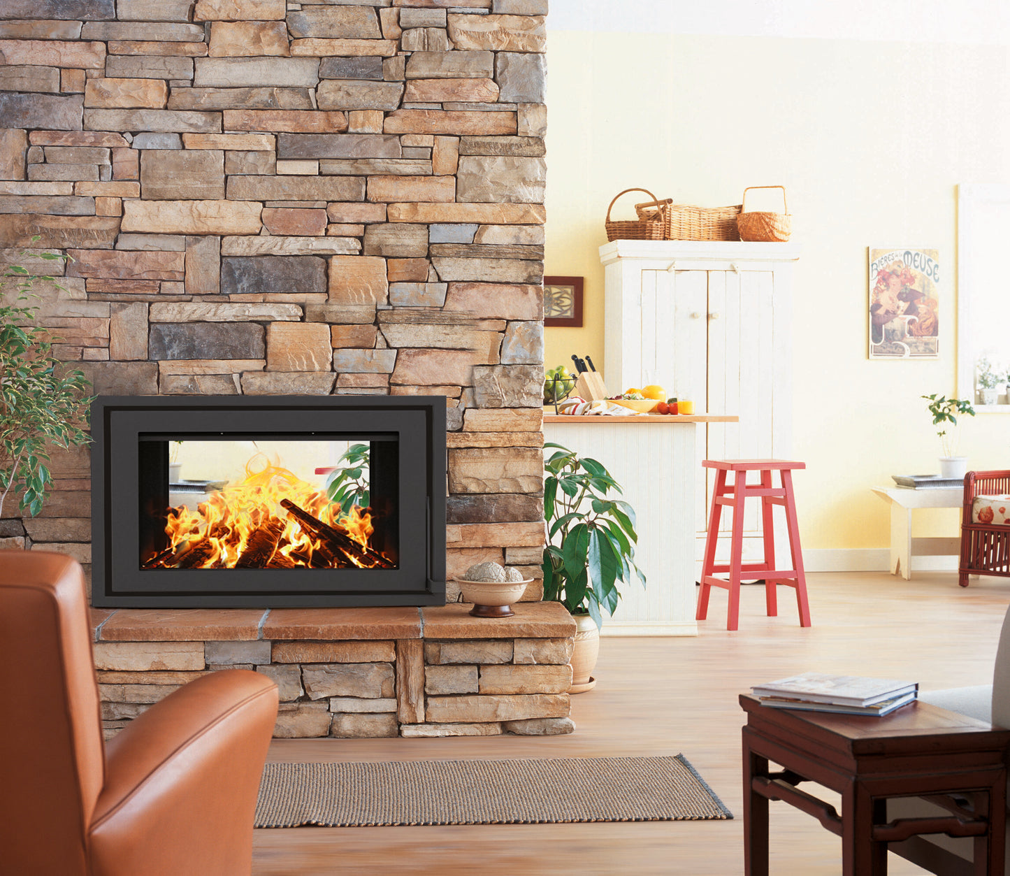 Canature P3F Double Sided Insert Fireplace