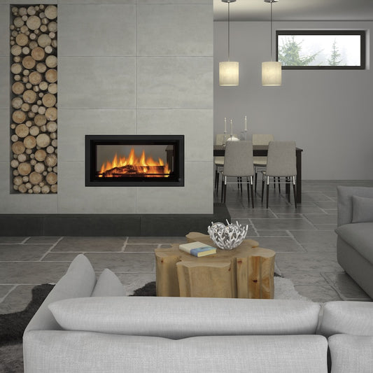 Canature Landscape P11 Double Sided Insert Fireplace